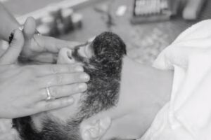 Il barbiere @ PKZ men