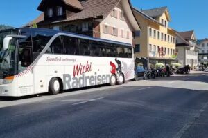 Vogel,hair nail face