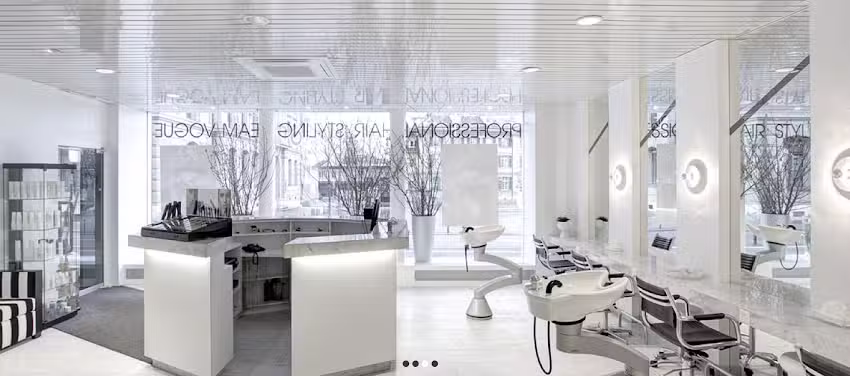 Vogue Professionnel Hairstyling